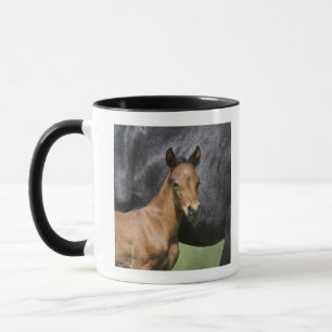 Caneca retrato do potro marrom