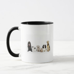 Caneca Retrato dos gatos e dos cães que sentam-se junto