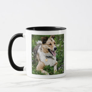 Caneca Retrato exterior do cão que encontra-se para baix
