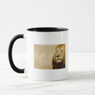 Caneca Retrato masculino do leão (Panthera leo), Masai