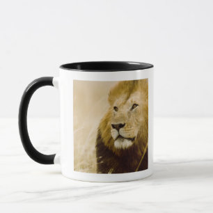Caneca Retrato masculino do leão (Panthera leo), Masai