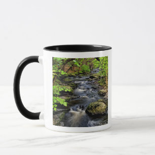 Caneca Ribeiro flui através da floresta