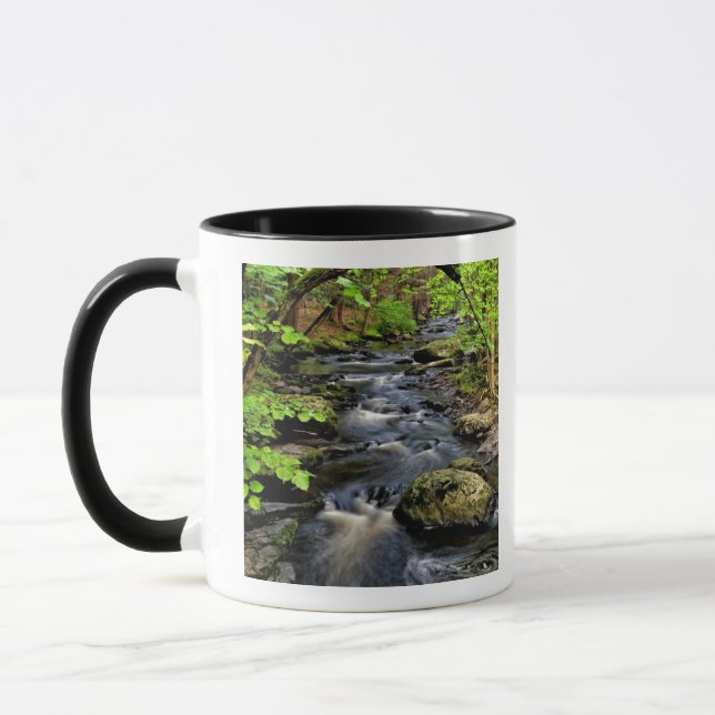 Caneca Ribeiro flui através da floresta (Esquerda)