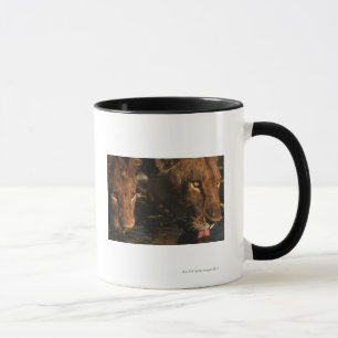 Caneca Rio de Khwai, reserva dos animais selvagens de