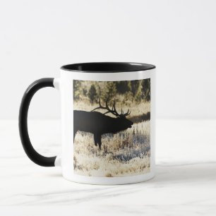 Caneca Rio de Madison, Yellowstone NP, Wyoming, EUA