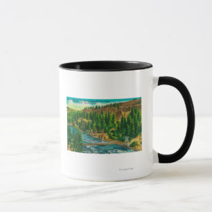 Caneca Rio de Spokane e ponte do pé da suspensão