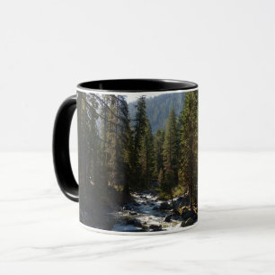 Caneca Rio Kaweah no Parque Nacional de Sequoia