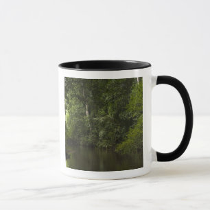 Caneca Rio Mapari, Mapari Rupununi, Guiana.