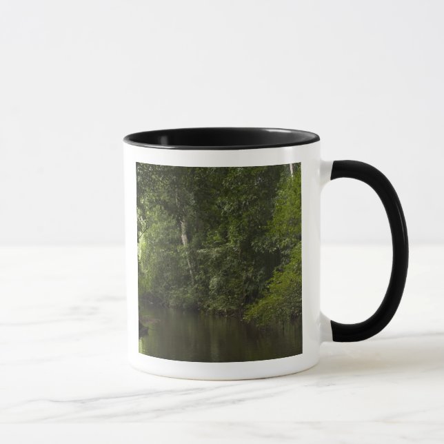 Caneca Rio Mapari, Mapari Rupununi, Guiana. (Direita)