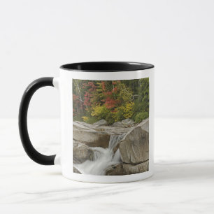 Caneca Rio Swift em cascata através de pedras, Branco