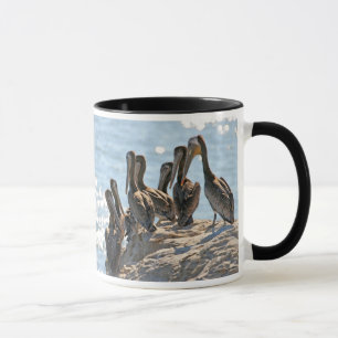 Caneca Rocha do pelicano