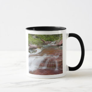 Caneca Rocha vermelha em Baring Creek no Glacier National