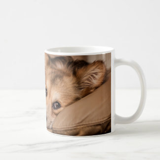 Caneca rochosa sonolento