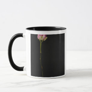 Caneca Rosa 3 do rosa