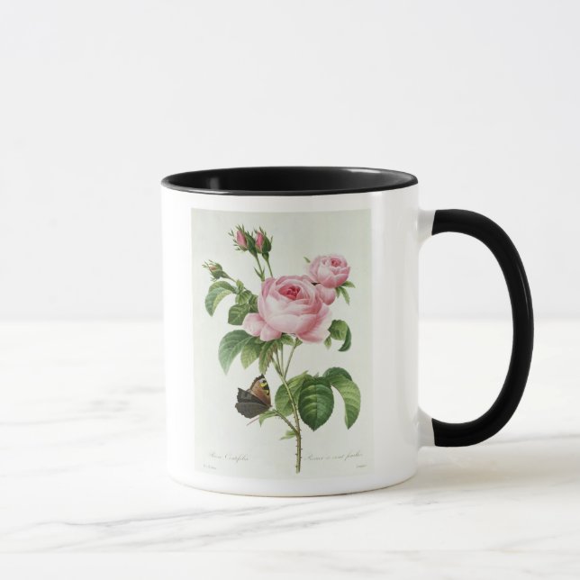 Caneca Rosa Centifolia (Direita)