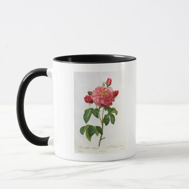 Caneca Rosa Gallica Aurelianensis (Esquerda)