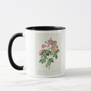 Caneca Rosa Mollissima, 'dos rosas de Les