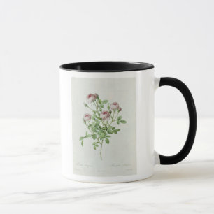 Caneca Rosa Pomponia, 'dos rosas de Les