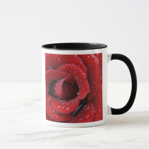 Caneca Rosa vermelha coberta de orvalho decorando o local