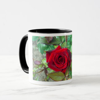 Caneca Rosa vermelha Dia de os namorados