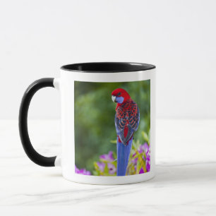 Caneca Rosella carmesim & contexto das orquídeas