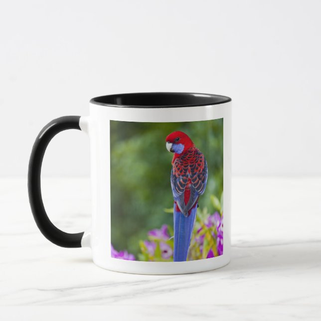 Caneca Rosella carmesim & contexto das orquídeas (Esquerda)