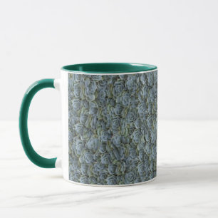 CANECA ROTULAGENS DAS PLANTAS SUCCULENTES DE CINZA VERDE
