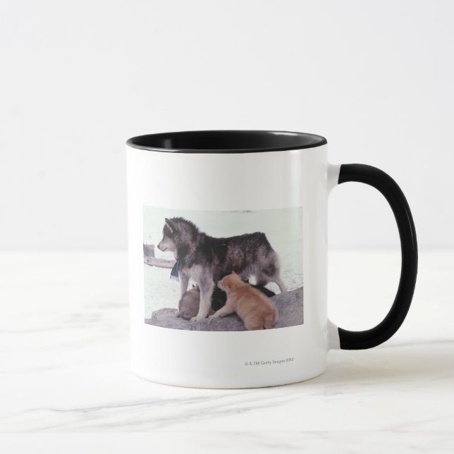 Caneca Rouco com a maca dos filhotes de cachorro (Direita)