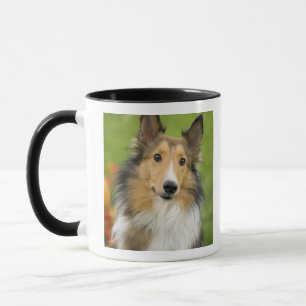 Caneca Rough Collie, cão