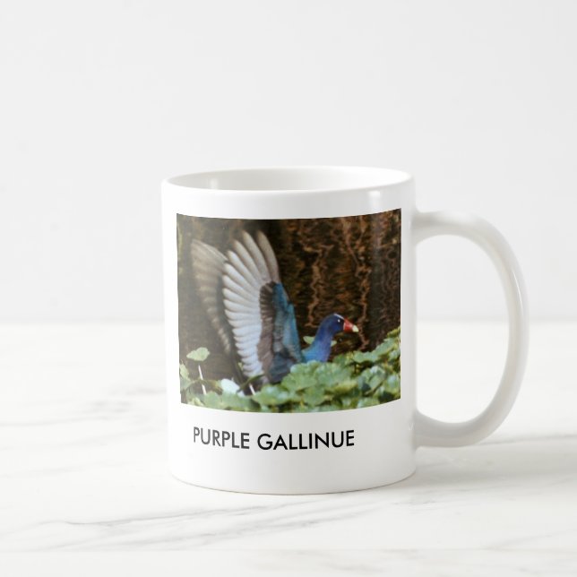 CANECA ROXA DE GALLINULE (Direita)