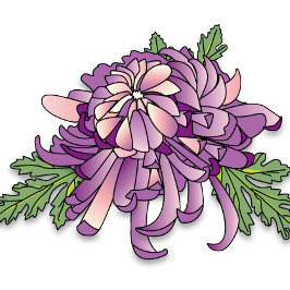 Caneca Roxo Chrysanthemum