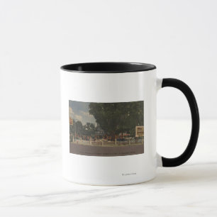 Caneca Rua. Augustine, FL - Acredita ou não de Ripley
