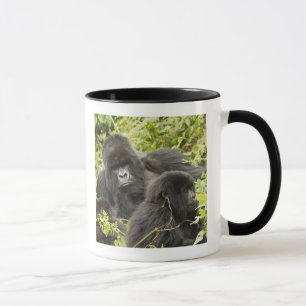 Caneca Ruanda, Parque Nacional dos Vulcões