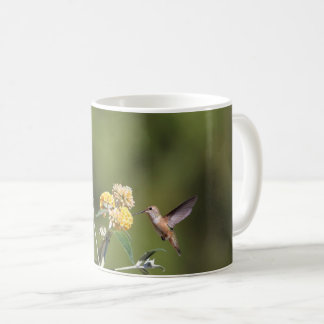 Caneca Rufous do colibri