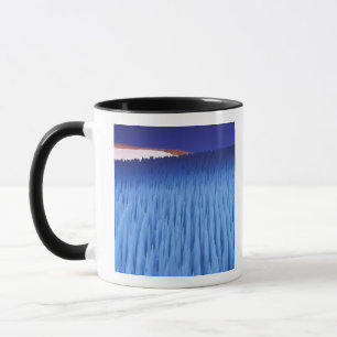 Caneca SA, Chile, Região de Coquimbo, Nieve Penitente;