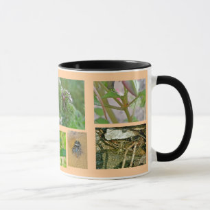 Caneca Saco de proteção de aranha
