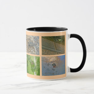 Caneca Saco de proteção de aranha