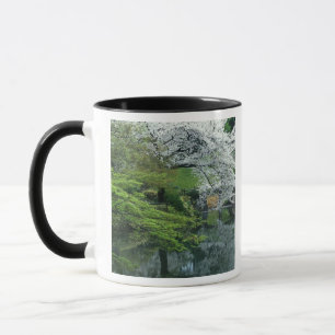 Caneca Sakura, Jardim Koishikawa Koraku-en, Tóquio,