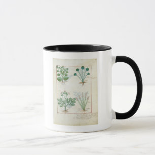 Caneca Sal Bush e absinto e cardamomo de Anthora