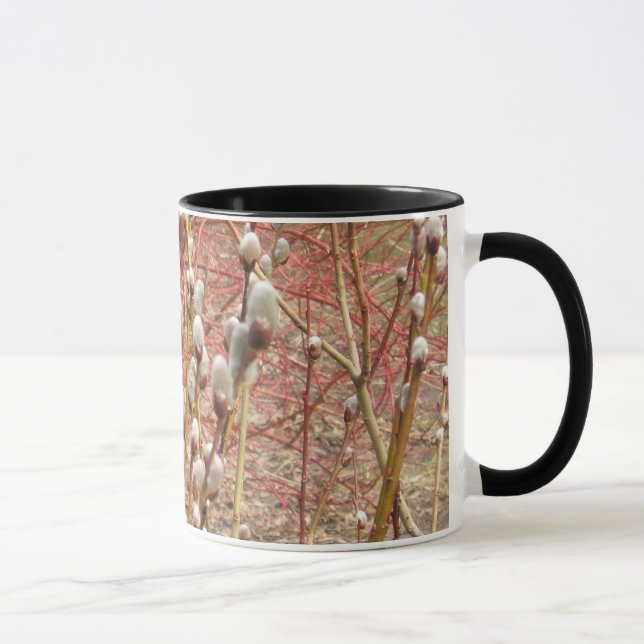 Caneca salgueiros de bichano na primavera (Direita)