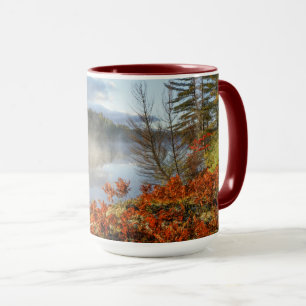Caneca Samambaia na costa Paradise, Michigan