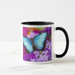 Caneca Sammamish Washington Borboleta Tropical