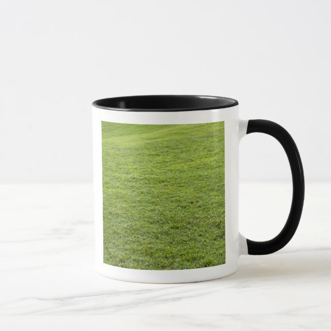 Caneca San Juan, Porto Rico - A grama verde é (Direita)