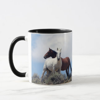 Caneca Sand Wash Basin