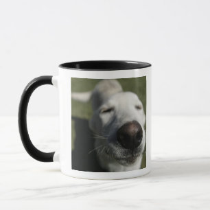 Caneca Santa Fé, Novo México