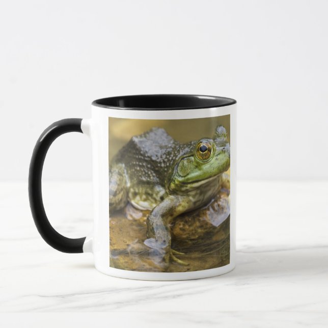 Caneca Sapo ao longo do rio Buffalo, Milha 126 no (Esquerda)