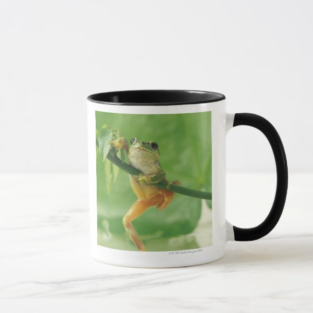 Caneca Sapo de árvore (Direita)