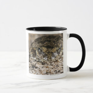 Caneca Sapo de árvore de Califórnia, (cadaverina do