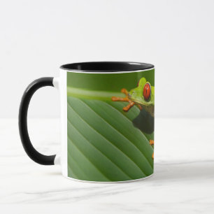 Caneca Sapo de Árvore Selvagem Colorida Verde