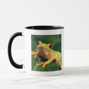 Caneca Sapo de árvore vermelho do olho
